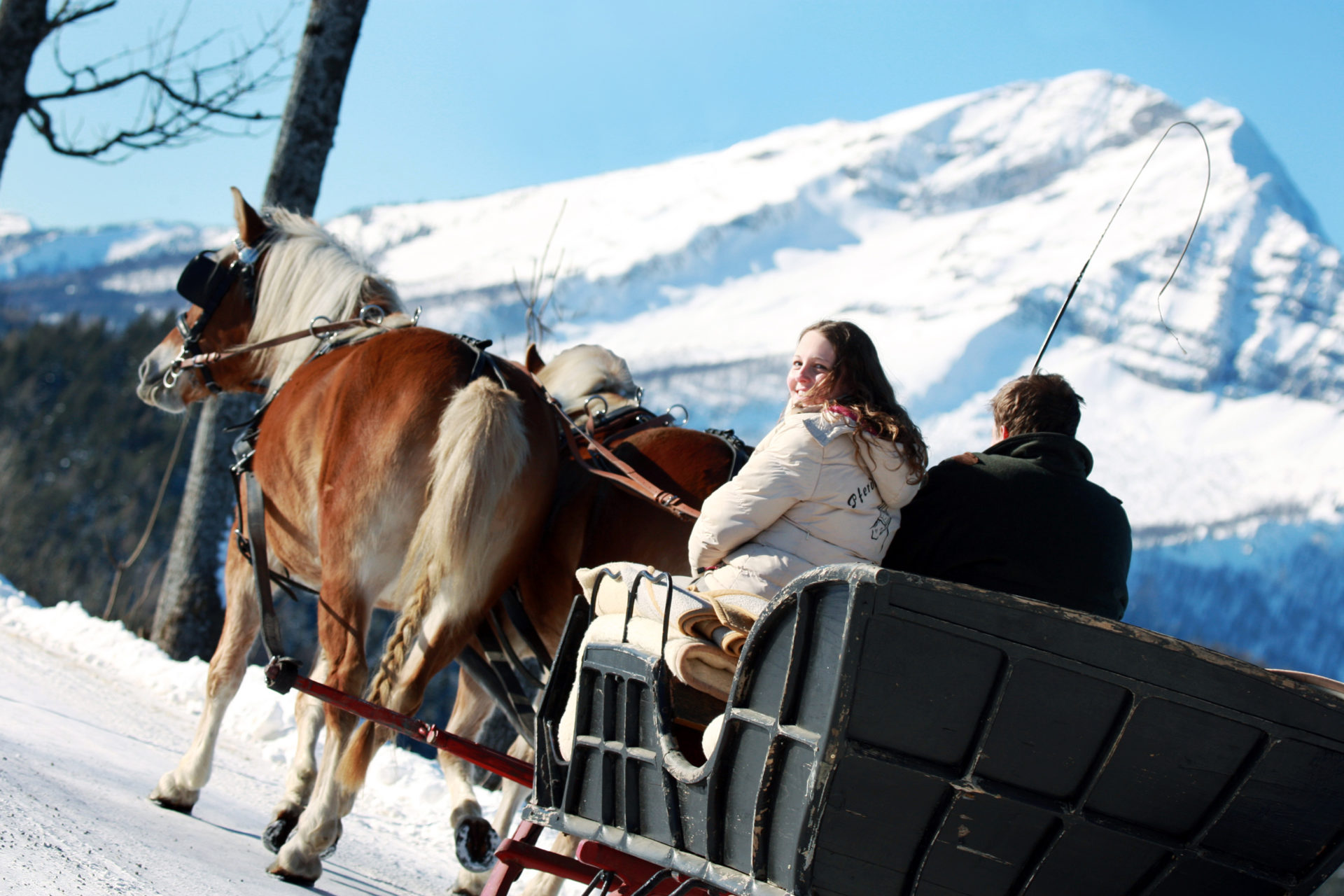 Promenade hivernale en calèche