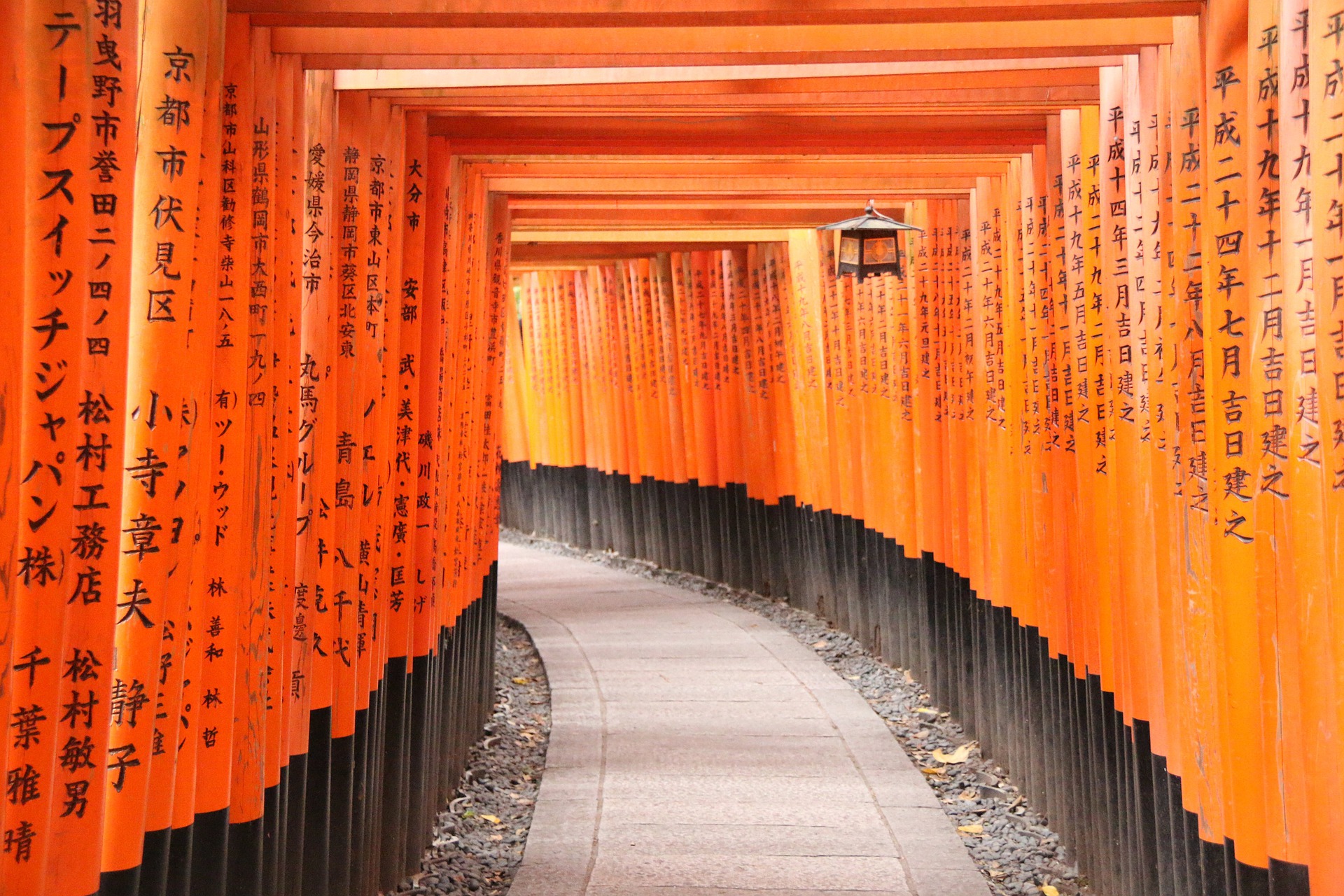 Les Toris du Temple Fushimi Inari