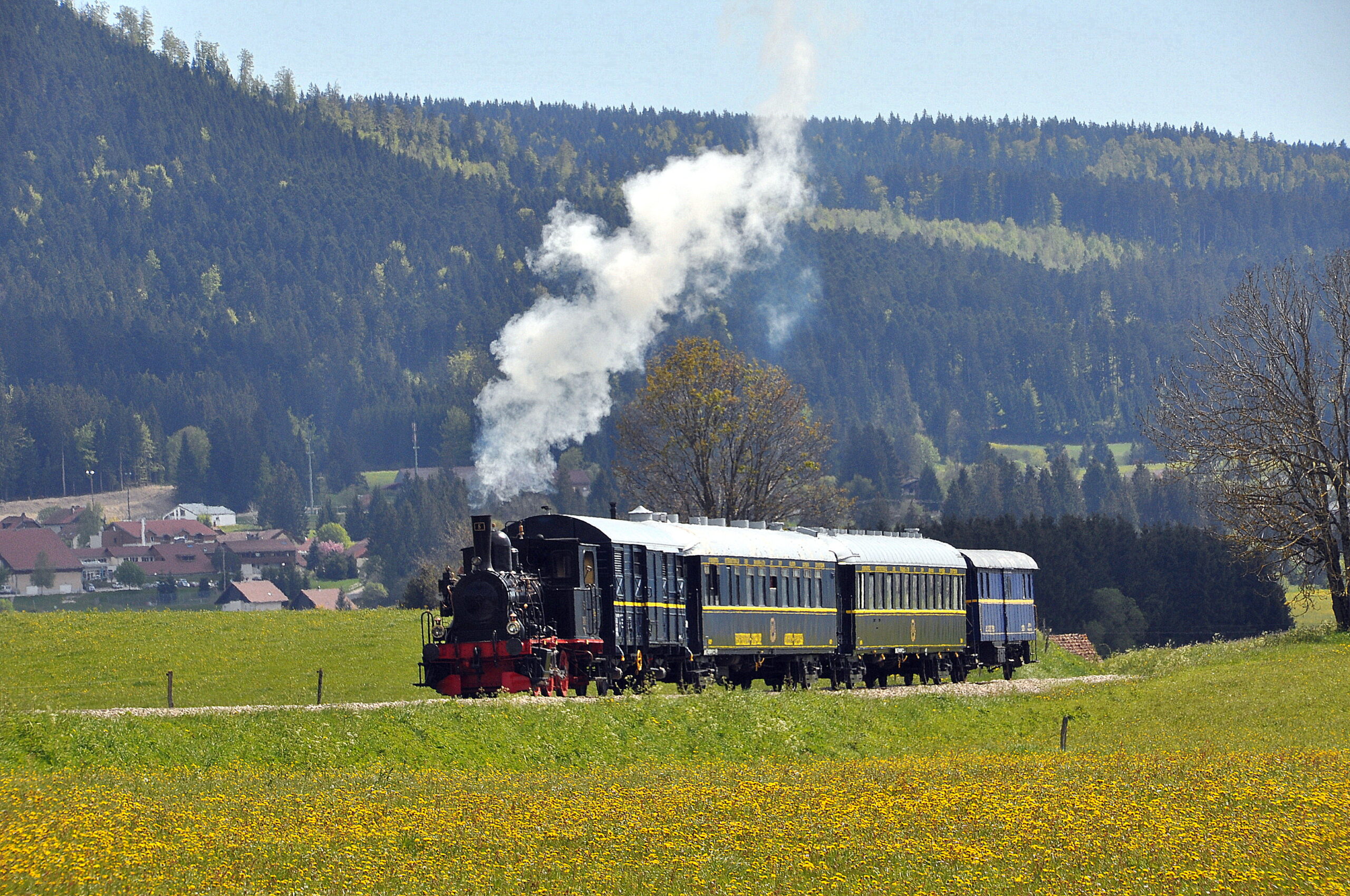 train a vapeur conifer france