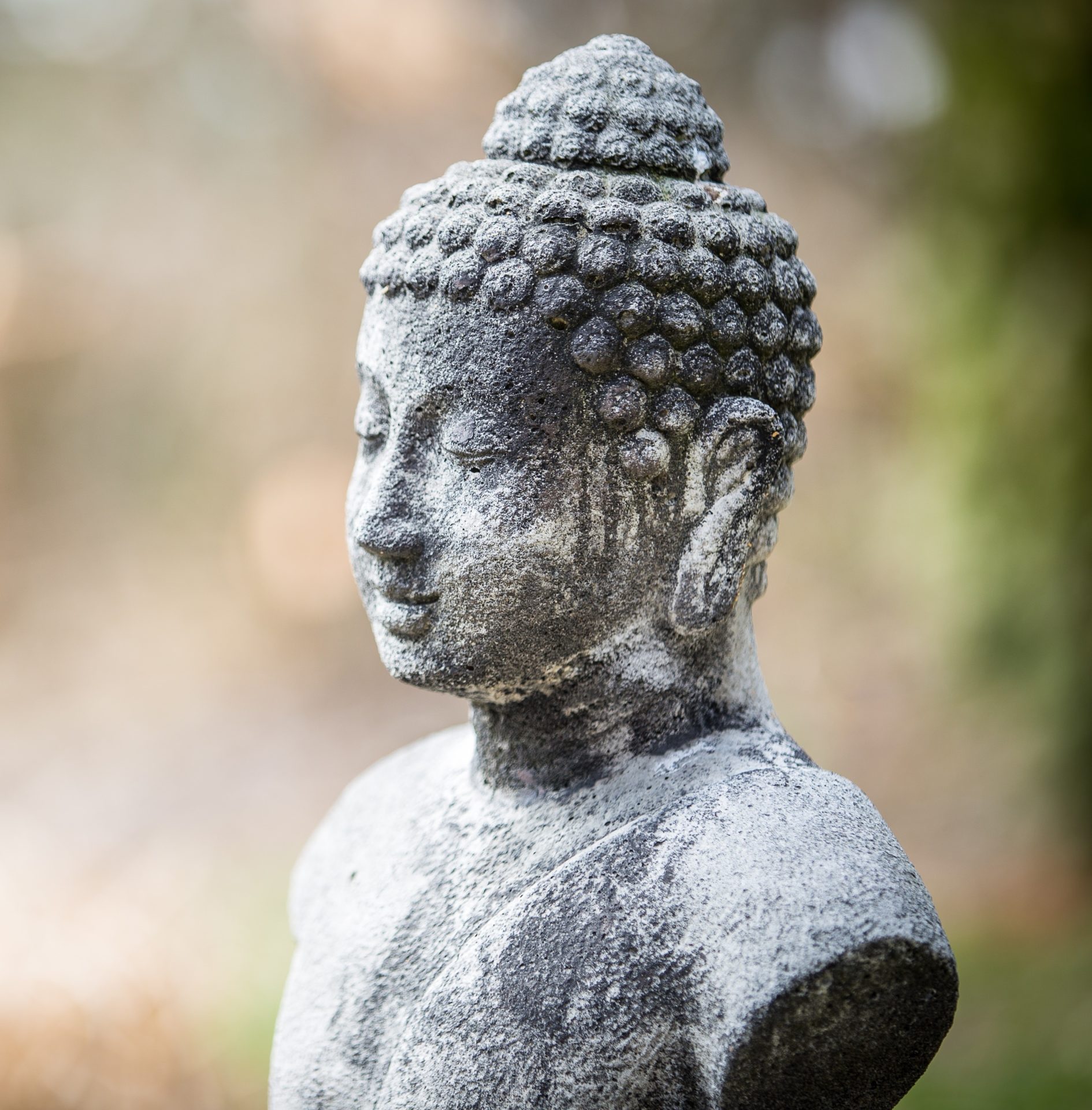 paradizen france meditation