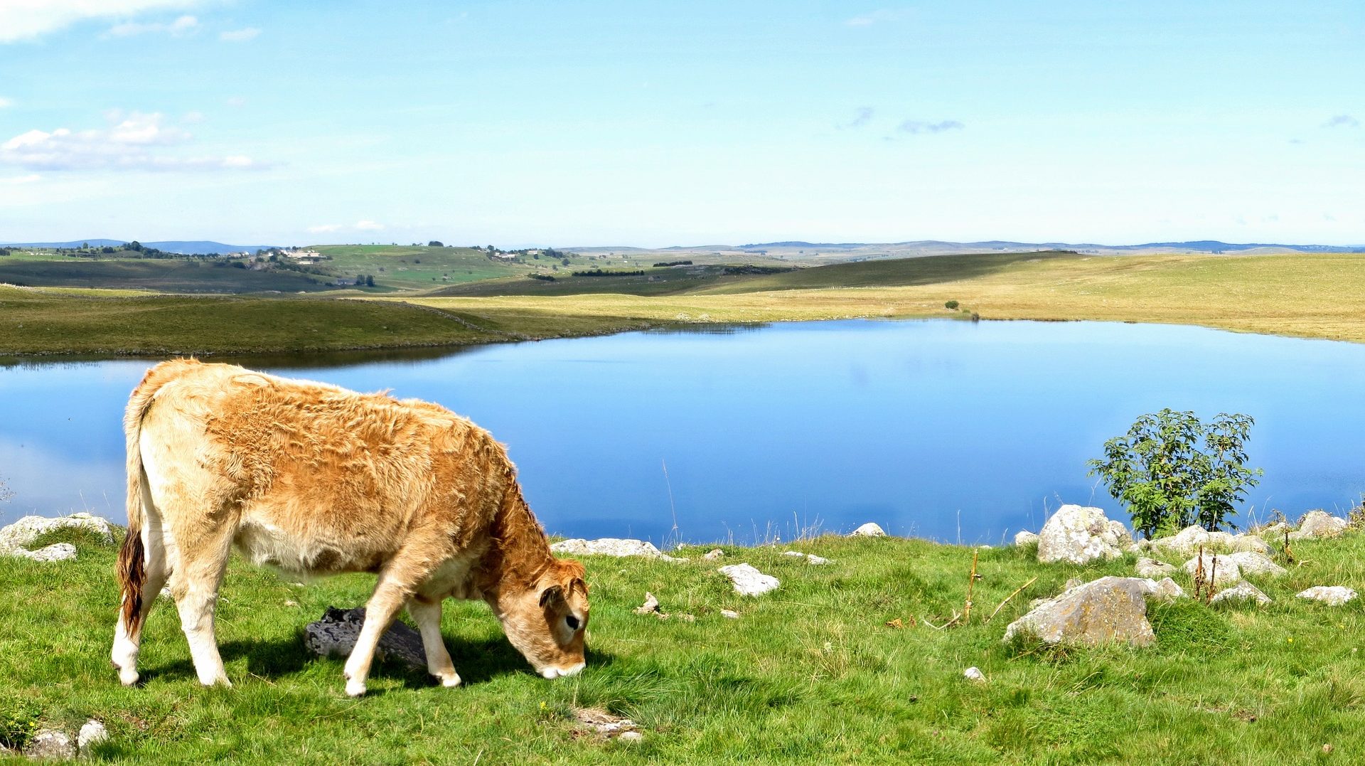 lac aveyron aubrac en france