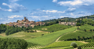 Country landscape of Monferrato (Asti, Piedmont, Italy) at summer, with vineyards