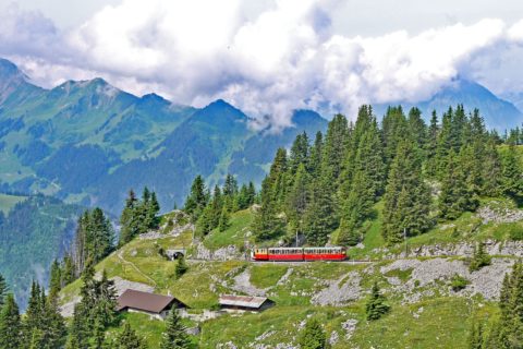 Train à crémaillère pour le Schynige Platte