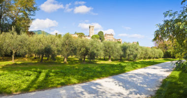 Panoramic photo of the famous medieval citadel of Vicopisano (Italy - Tuscany - Pisa).
The citadel of Vicopisano was was built in 1434 and designed by the great architect Filippo Brunelleschi who gave birth to the Italian Renaissance.