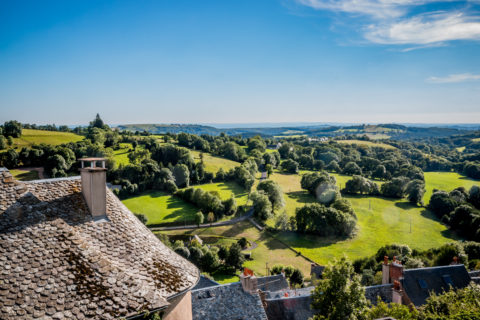 Aveyron Laguiole