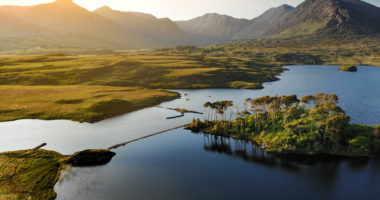 Twelve Pines Island, standing on a gorgeous background formed by the sharp peaks of a mountain range called Twelve Pins or Twelve Bens, Connemara, County Galway, Ireland Irlande