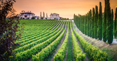 AS_217895118 - Umbria