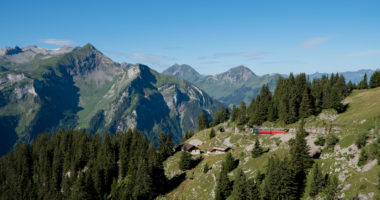 red historic railway in the swiss alps, schynige platte red historic railway in the swiss alps, schynige platte