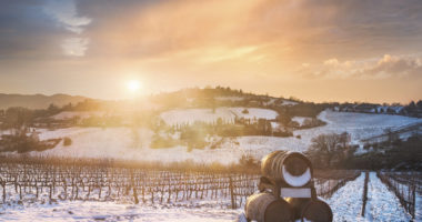 Vineyards rows covered by snow in winter at sunset and barrels of wine. Chianti region countryside, Siena, Tuscany, Italy