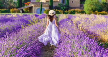 AS_353348922 - Provence