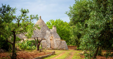 Trulli with olive grove. Val d'Itria - Puglia (Apulia) - Italy