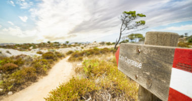 (Selective focus) Focus on the wooden footpath sign indicates the direction to Cala Caprarese located in the beautiful island of Caprera in the Maddalena archipelago, Sardinia, Italy.