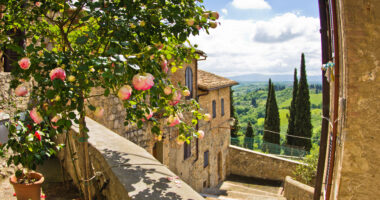 AS_6761082 - Roses à San Gimignano 