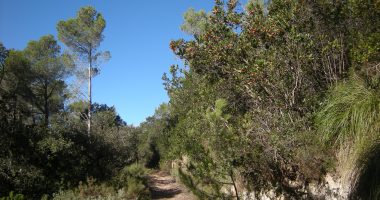 Randonnées à Majorque