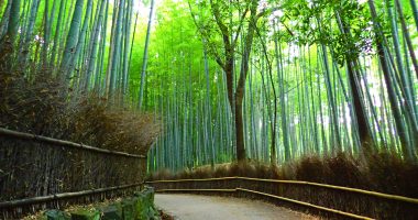 kyoto