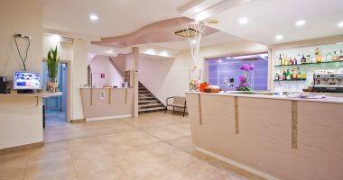 Hotel thea bar et réception
